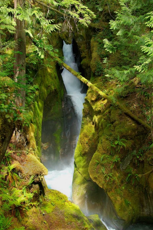 Picture of NORTH CASCADES NP III