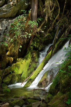 Picture of NORTH CASCADES NP IV