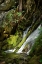 Picture of NORTH CASCADES NP IV