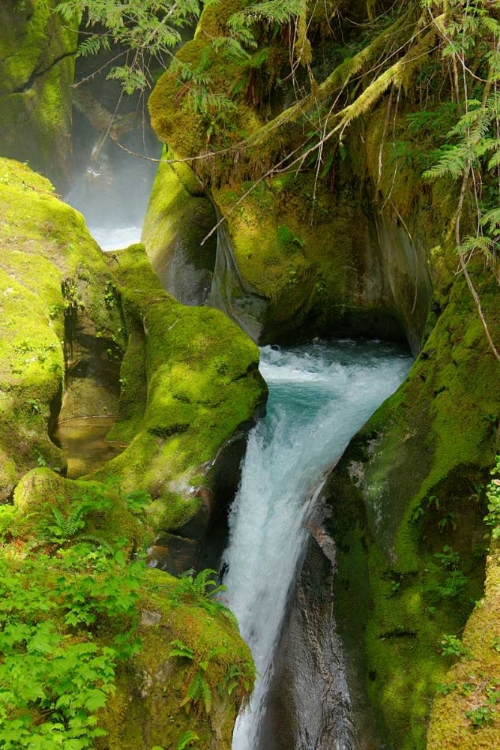 Picture of NORTH CASCADES NP V