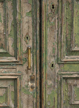 Picture of VENICE GREEN DOOR