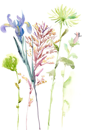 Picture of WATERCOLOR FLORAL STUDY III