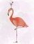 Picture of FLAMINGO AND COCKTAIL 3