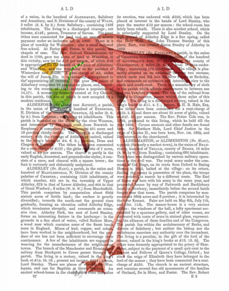 Picture of FLAMINGO AND COCKTAIL 1