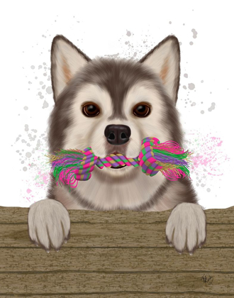 Picture of HUSKY AND ROPE BONE