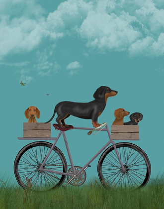 Picture of DACHSHUNDS ON BICYCLE