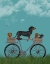 Picture of DACHSHUNDS ON BICYCLE