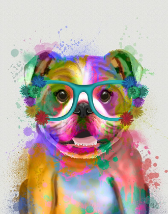 Picture of ENGLISH BULLDOG RAINBOW SPLASH