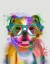 Picture of ENGLISH BULLDOG RAINBOW SPLASH