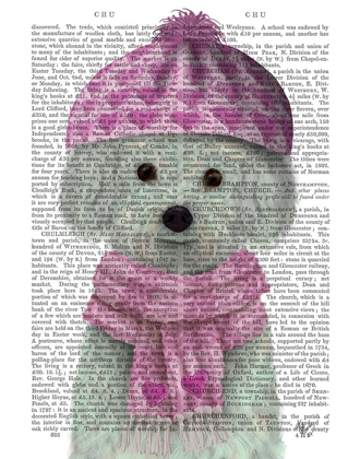Picture of BICHON FRISE IN PINK BOBBLE HAT