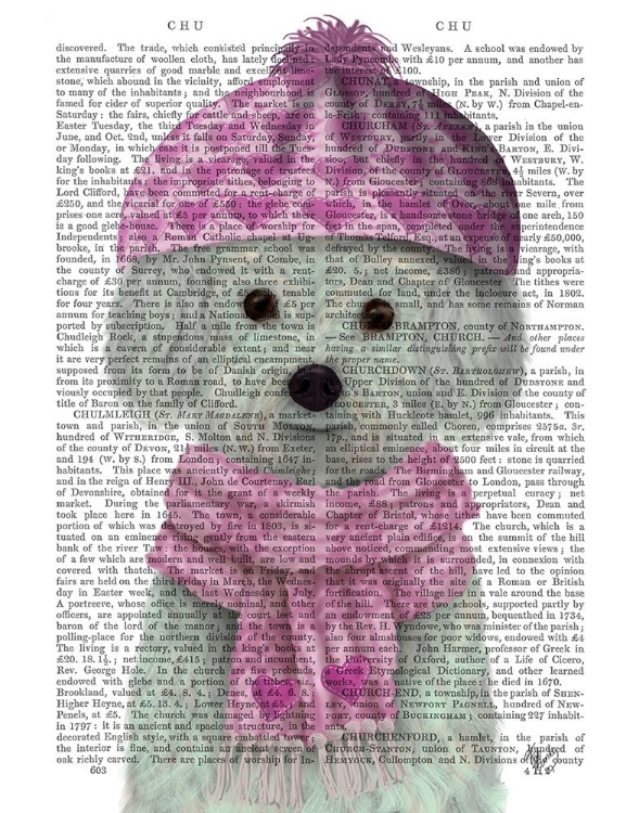 Picture of BICHON FRISE IN PINK BOBBLE HAT