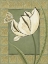 Picture of IVORY TULIP II