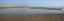 Picture of BEACH STUDY III