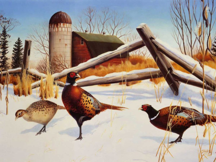 Picture of PHEASANTS II