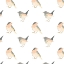 Picture of SONGBIRD COLLECTION I