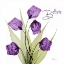 Picture of BELIEVE SANDERSONIA H34