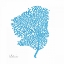 Picture of COBALT SEA FAN 2