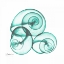 Picture of SHAMROCK SKY SNAILS 2