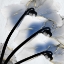 Picture of INDIGO LUSTER MARBLE