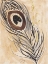 Picture of PEACOCK FEATHER 2