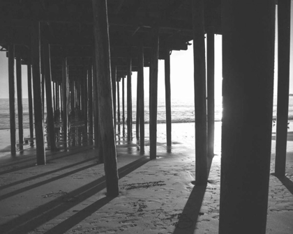 Picture of UNDER THE PIER BLACK AND WHITE