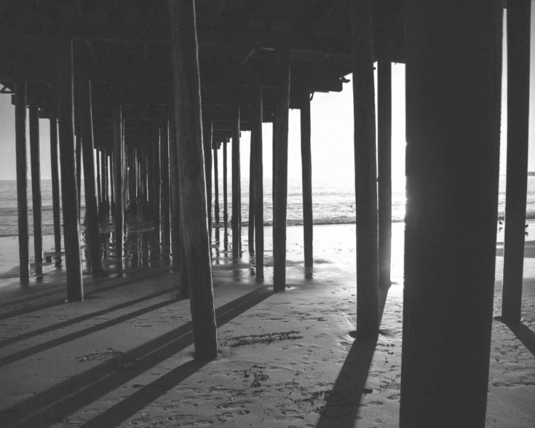 Picture of UNDER THE PIER BLACK AND WHITE