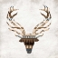 Picture of AZTEC DEER MATE