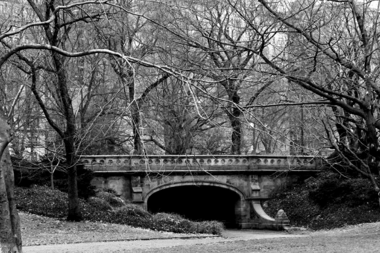 Picture of CENTRAL PARK BRIDGE 2