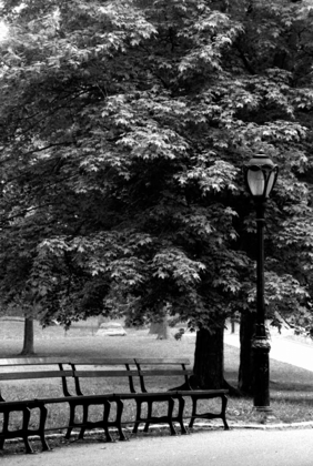 Picture of CENTRAL PARK BENCHES