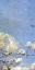 Picture of MAGNOLIA PANEL 3