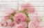 Picture of ROSES IN PARIS