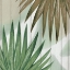 Picture of TROPICS 2