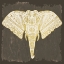 Picture of NATIVE ELEPHANT