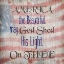 Picture of AMERICA THE BEAUTIFUL