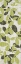 Picture of CREAM GREEN LEAVES