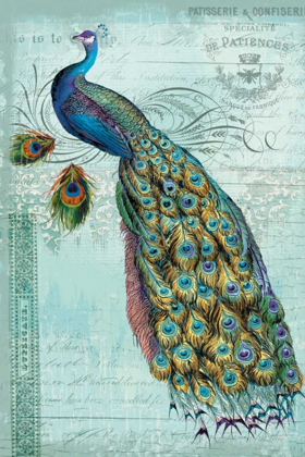 Picture of PEACOCK TEAL NOUVEAU 1