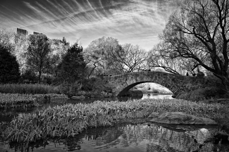 Picture of MAGIC OF CENTRAL PARK