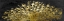 Picture of GOLDEN PEACOCK