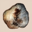 Picture of TREE RING STUMP 1