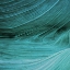 Picture of COASTAL ABSTRACT