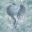 Picture of COASTAL CEMENT