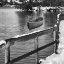 Picture of PLACID BAYOU