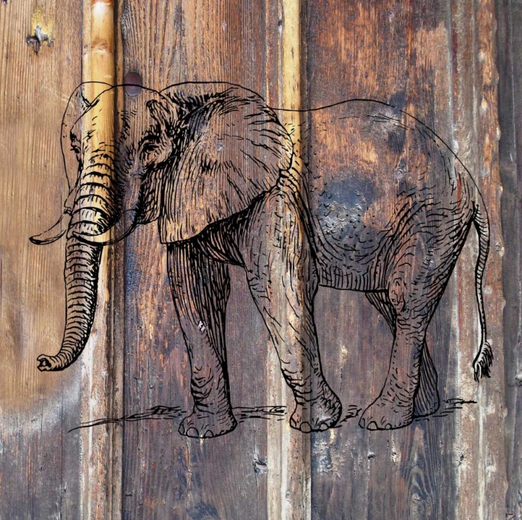 Picture of JUNGLEPHANT