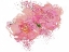 Picture of PINK PEONIES