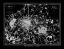 Picture of PARIS MAP 2 BW 