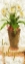 Picture of LA TULIPE