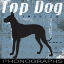 Picture of TOP DOG A