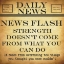 Picture of NEWS FLASH STRENGTH