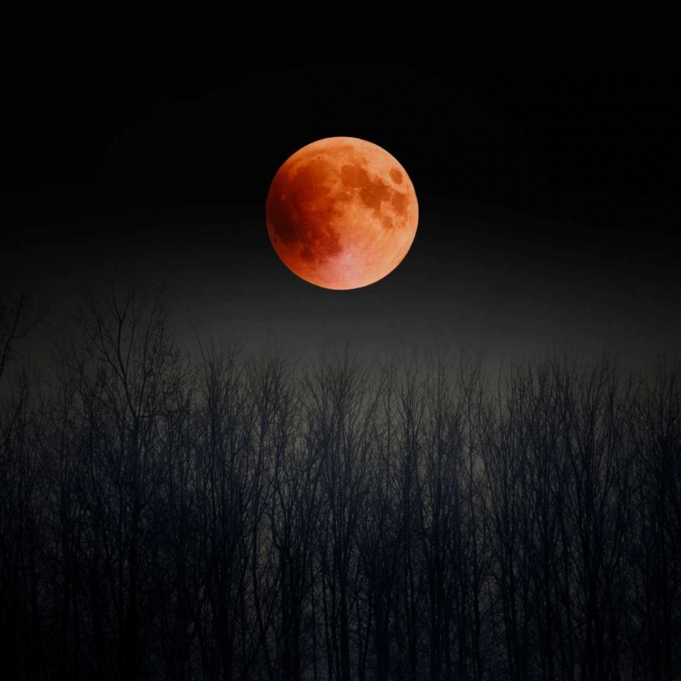 Picture of BLOOD MOON