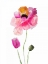 Picture of PAINTED WATERCOLOR